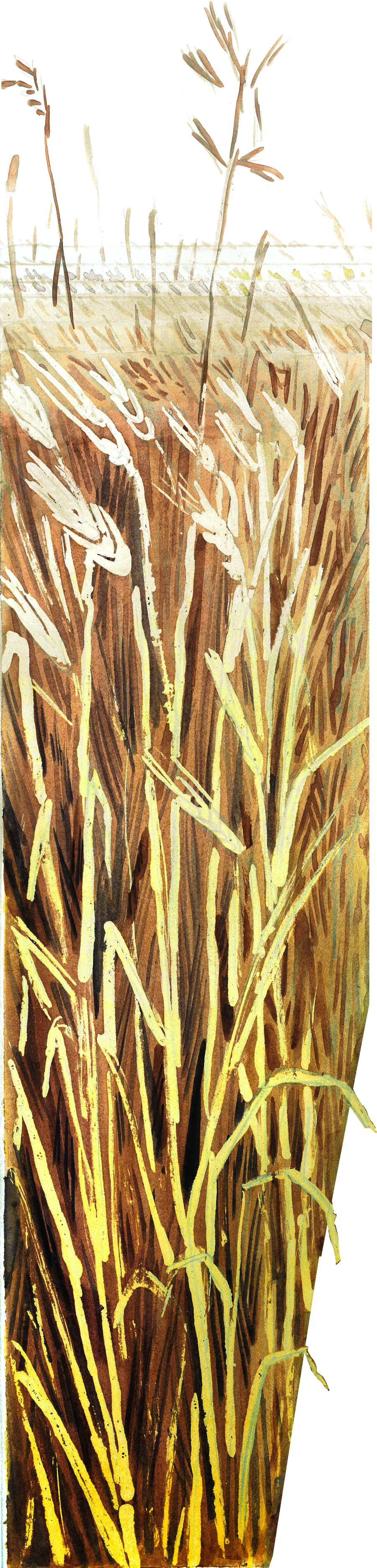 LeftWheat